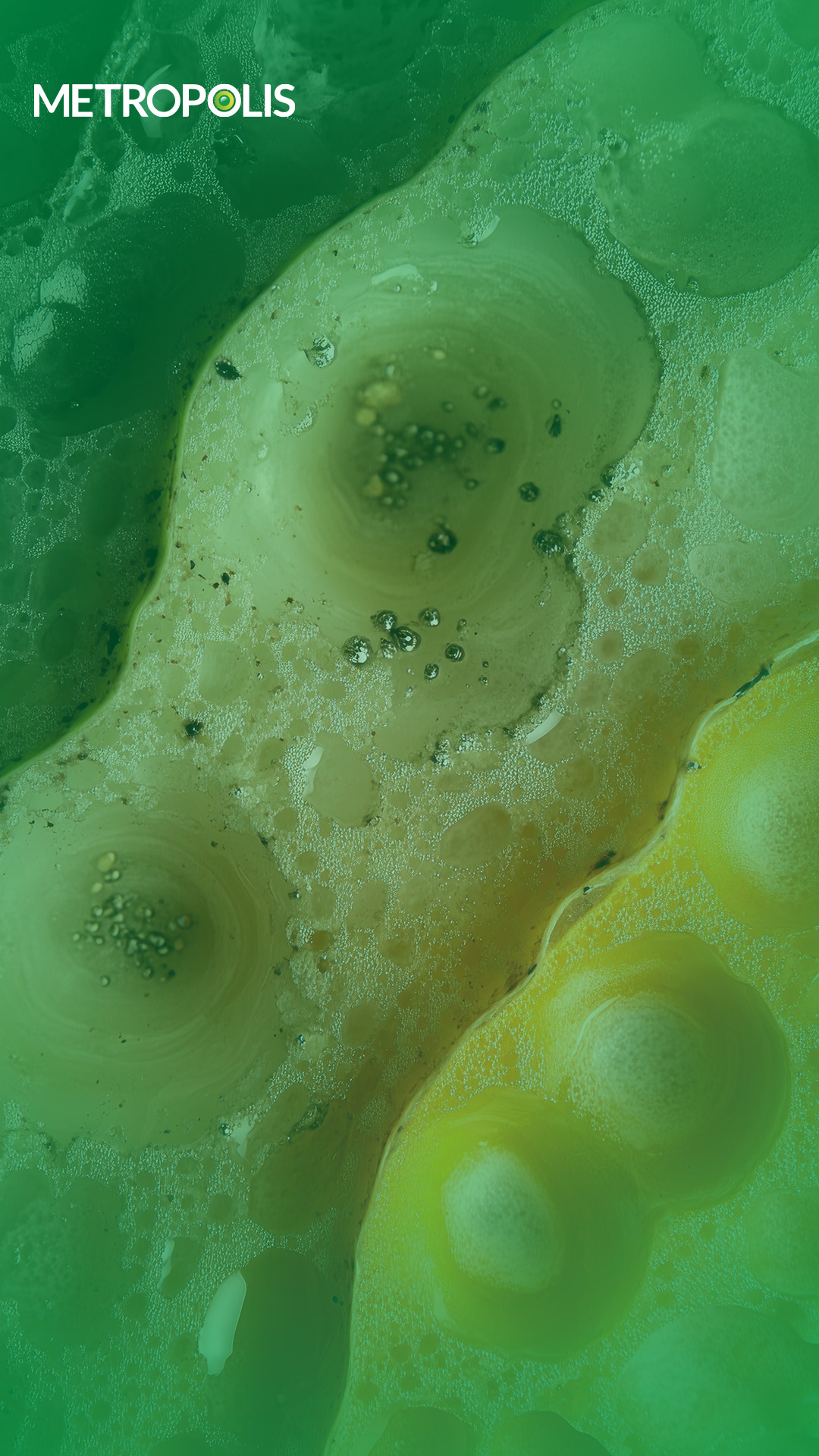 what does the colour of your phlegm mean?