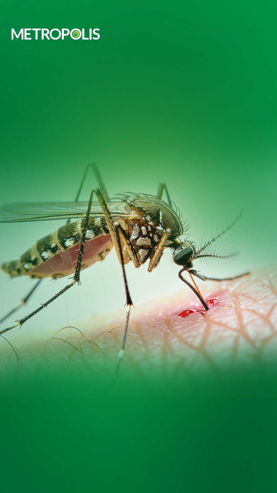 ZIKA ALERT! Know about the virus and its detection